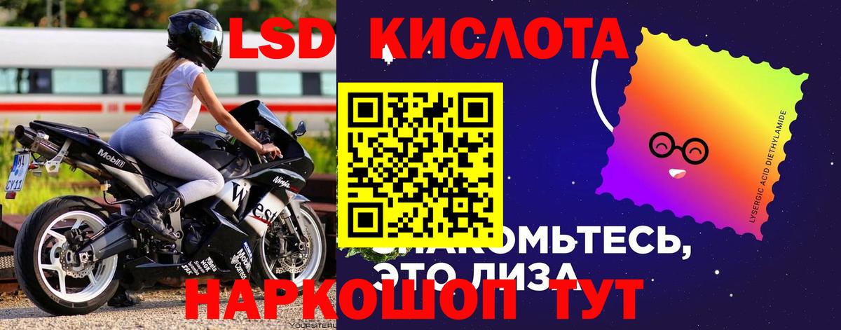 Гашиш Королёв