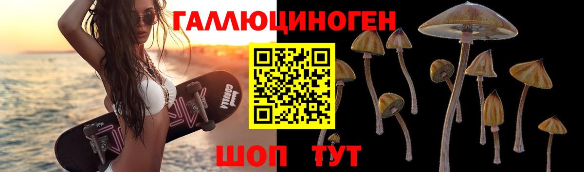 Псилоцибиновые грибы мицелий  где купить наркотик  Вход с VPN  Королёв  Галлюциногенные грибы прущие грибы 